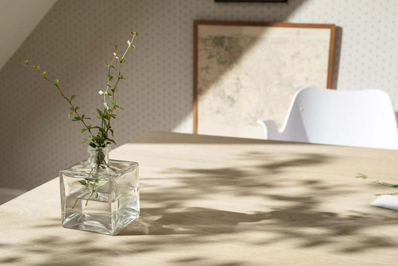 VELUX jumta logi, gaisma, ēna, augi, dekors